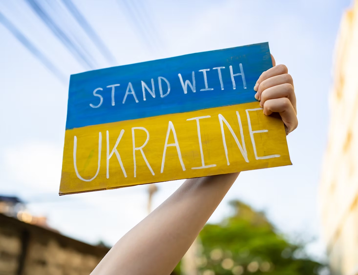 Українське медіа Нідерланди
