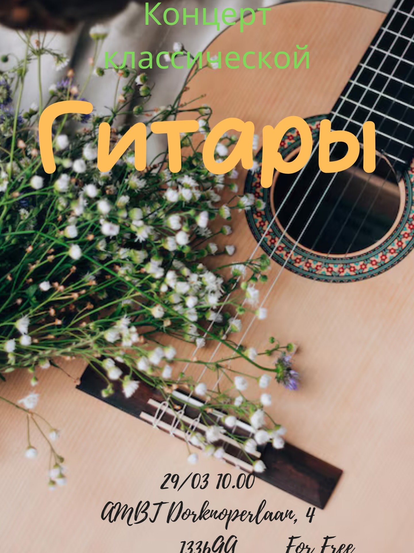Гітара Амстердам Алмере