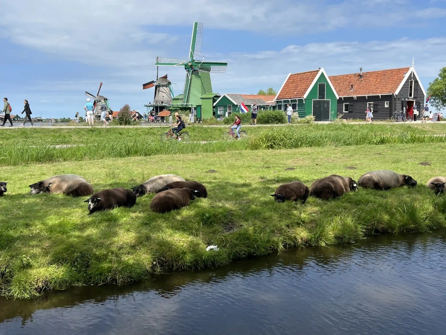 Holland Travel Time приватні тури Нідерландами